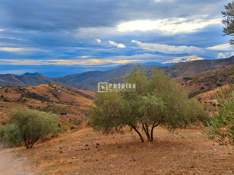 Foto 6ef5939e-c59a-433a-b1c4-9004bbf8367d. Terreny residencial a Olías Málaga