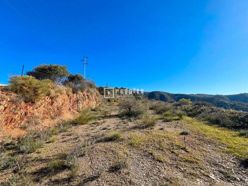 Foto 9b0f5c41-1054-45fd-a591-3faf862211ec. Terreny residencial a Olías Málaga