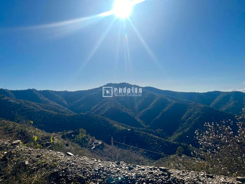 Foto a9e1d5bb-242f-4c22-b632-f10b1306beff. Terreny residencial a Olías Málaga