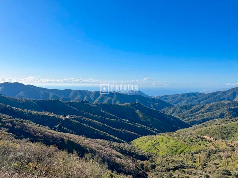 Foto af38c0f3-4da2-4c27-a988-d0f692050446. Terreny residencial a Olías Málaga