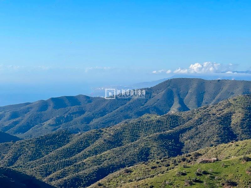 Foto f26fc4ab-b841-4519-950e-64eb26bc8d57. Terreny residencial a Olías Málaga