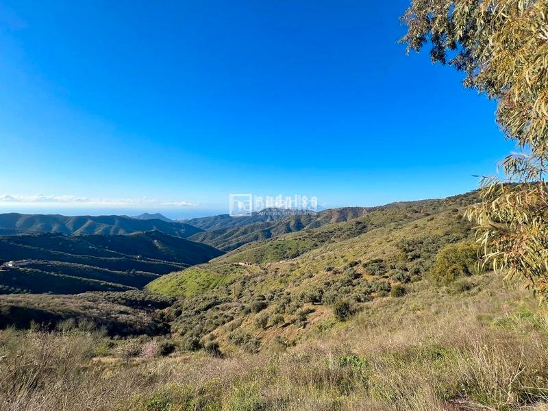 Foto f5396df0-665f-4806-957c-6a9fac395773. Terreny residencial a Olías Málaga