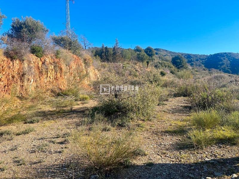 Foto f915f2bf-0638-400d-8557-064a98b97c7d. Terreny residencial a Olías Málaga