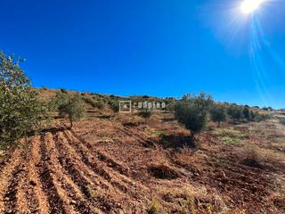 Solar industrial  Poligono 2. Oportunidad en arroyo coche, málaga  enorme terreno agrario con