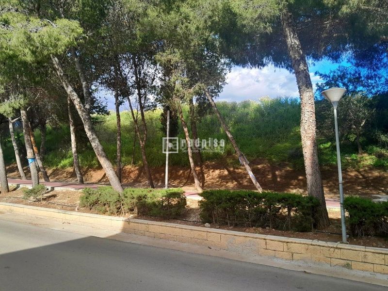 Foto 23071d29-e6ce-43b2-919e-ed4cc3aa95e2. Terreny residencial a Sexmo Cártama