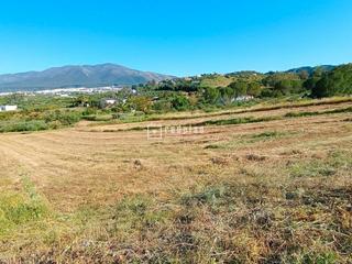 Solar industrial  La campiñuela. Magnífico terreno rustico de 4.205 m ubicado en entorno rural de
