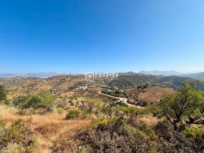 Foto a817f2b6-ae1c-41a4-9706-3d24bf3381d1. Terreno residencial gran oportunidad para inversores maravilloso grupo de solares en entorno rural para gran proyecto urbanistico en Almogía