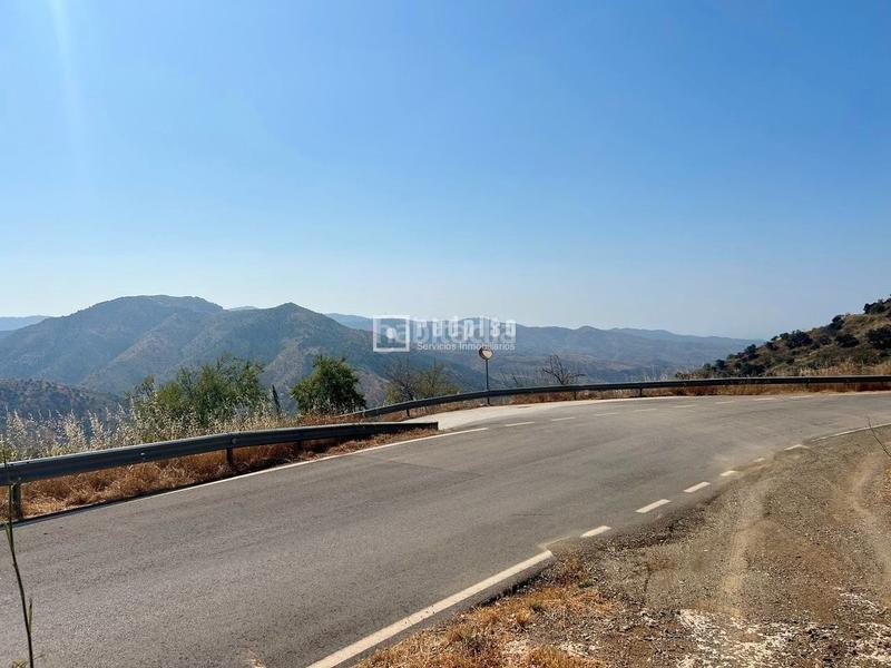 Foto dae17377-8eb2-467c-917a-cf5a3a765bcd. Terreno residencial gran oportunidad para inversores maravilloso grupo de solares en entorno rural para gran proyecto urbanistico en Almogía