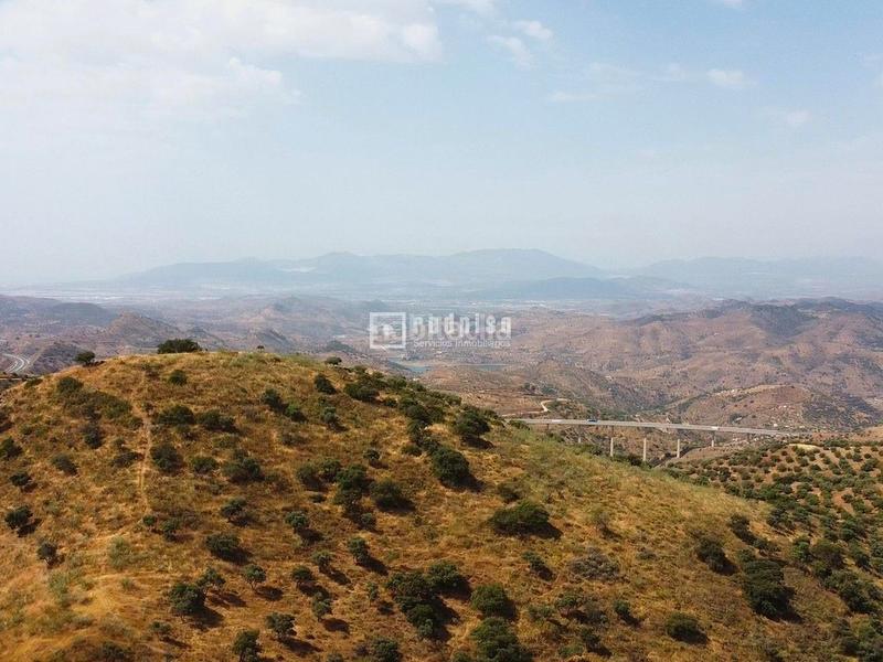 Foto e8d805ce-7aab-4451-bd91-735651c3d9e9. Terreno residencial gran oportunidad para inversores maravilloso grupo de solares en entorno rural para gran proyecto urbanistico en Almogía