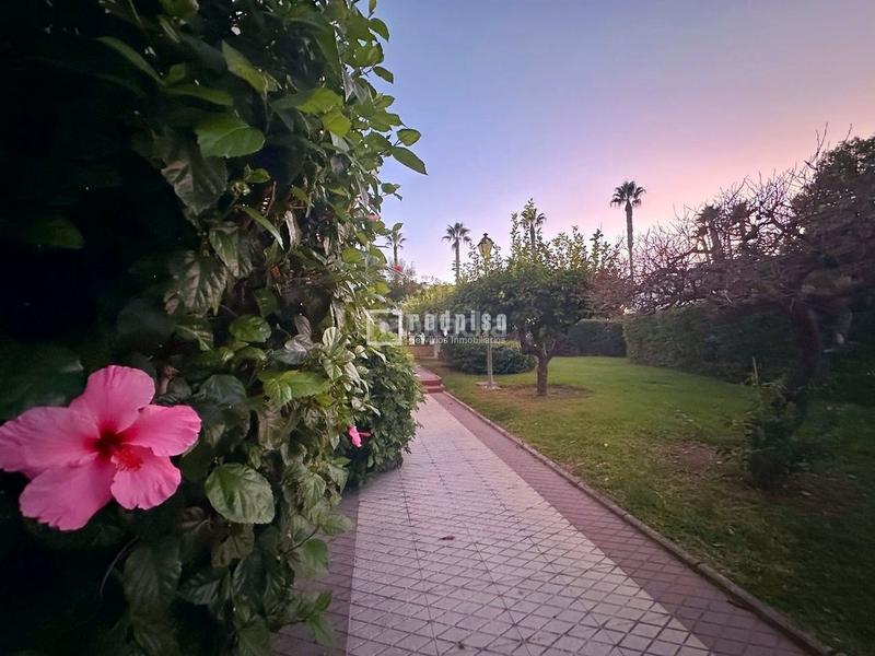 Foto feb3f0af-c648-4bca-be7b-e497a6736f08. Appartement avec parking piscine dans Centro Alhaurín el Grande