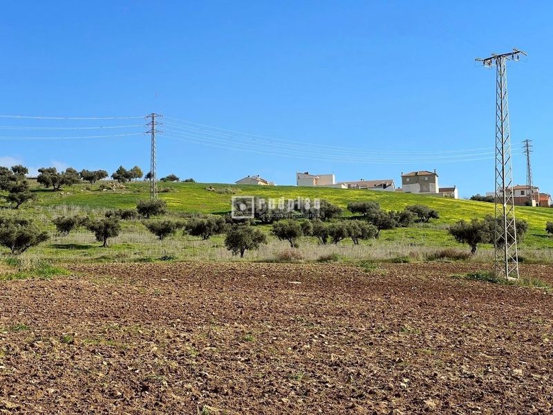 Foto 239fd012-572a-45e0-8a7c-78305cb6decb. Terreny residencial a Colmenar