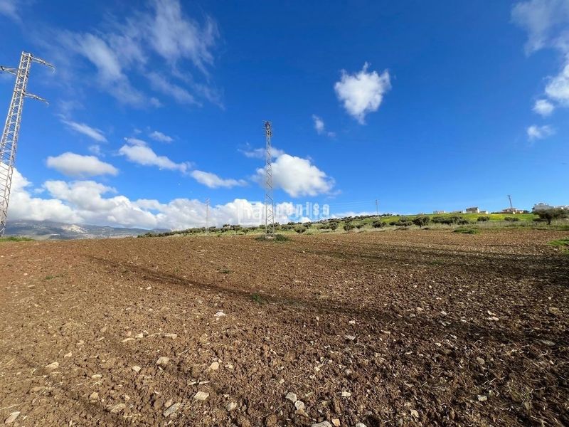 Foto 264b7eae-143c-4b31-8dde-8a1e0cfb3282. Terreny residencial a Colmenar