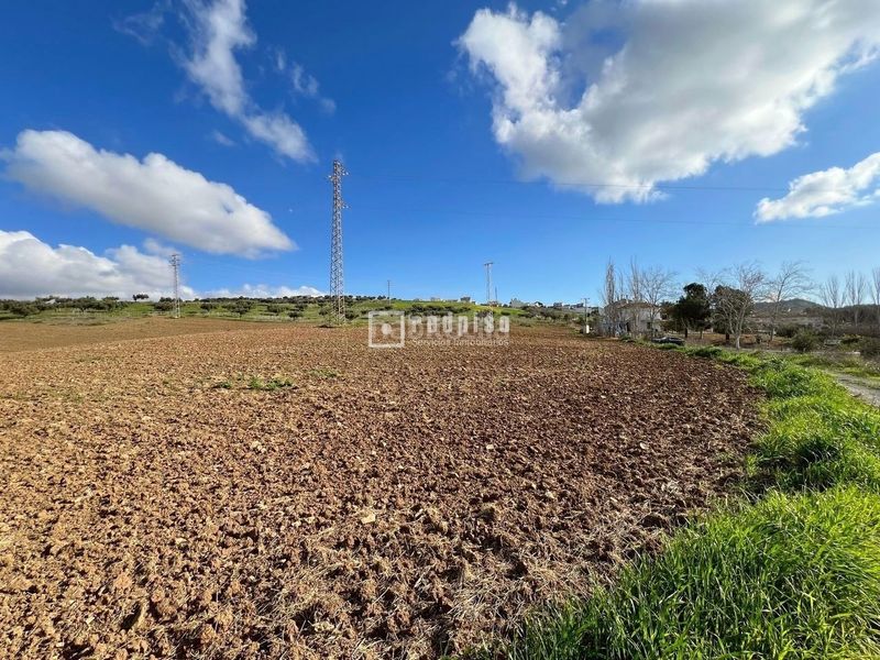 Foto b719e76a-0466-4da3-94fb-baf0f7285a02. Terreny residencial a Colmenar