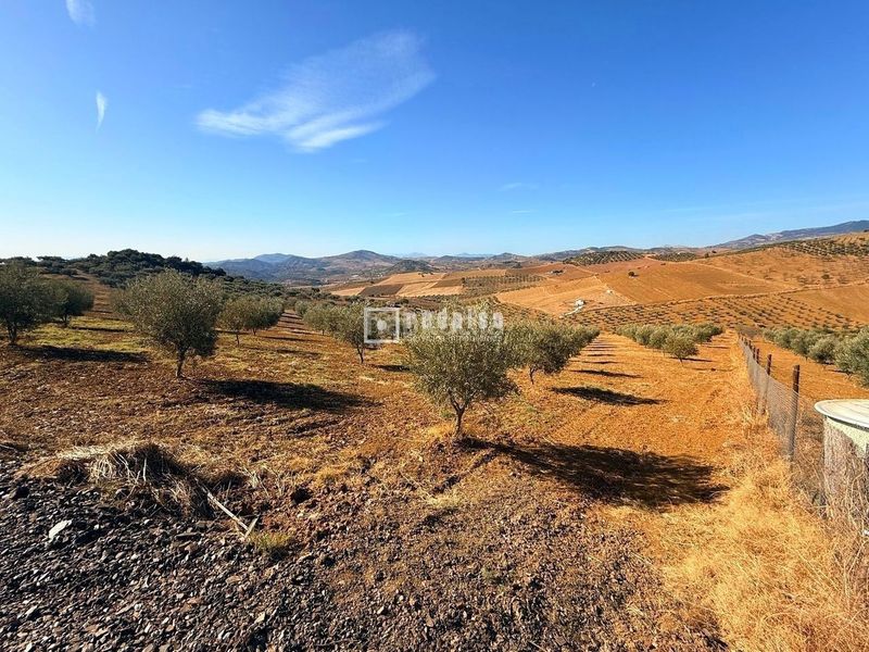 Foto e8c6bff7-d438-4593-af87-123e8c858d9e. Terreny residencial a Almogía