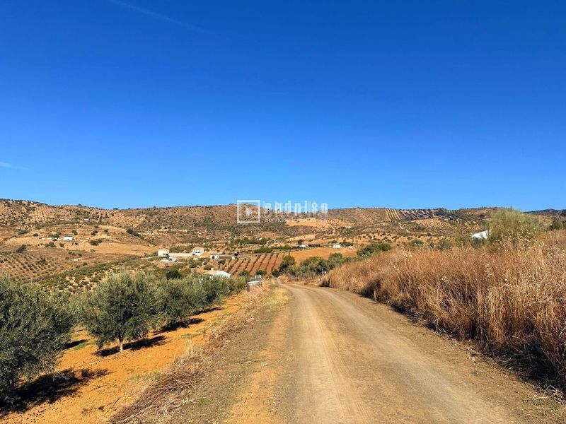 Foto f184619d-0a17-4a72-b3ed-0391a5163067. Terreny residencial a Almogía