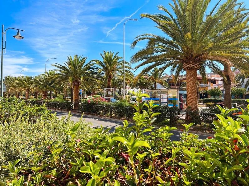 Foto 62d1a830-d06e-44e5-8ea7-7926f717e8c6. Affitto appartamento in Barrio de Ciudad Jardín Málaga