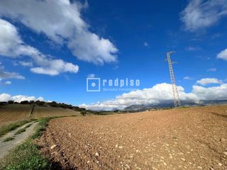 Terreny residencial a Suertes Viejas