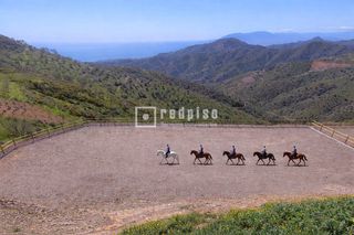 Lloguer Terreny residencial  Aguirre. Finca ecuestre con instalaciones a estrenar y amplia parcela de