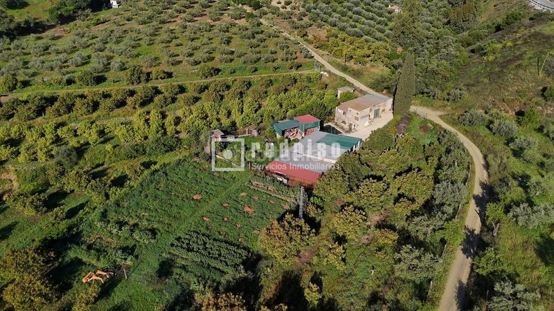 Foto 096e113d-3971-49a8-83b8-bba32ce3c039. Casa amb calefacció a Guaro