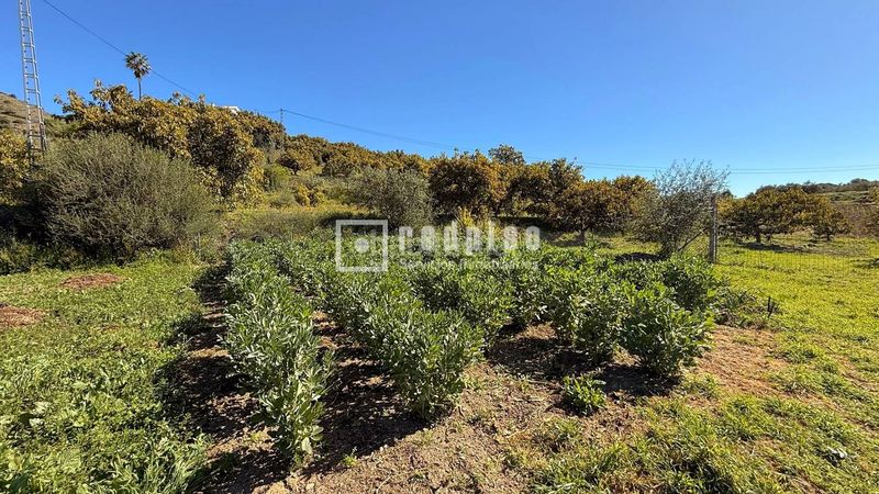 Foto 226ff35e-6550-4221-a0c9-37d9820a19d7. Casa amb calefacció a Guaro