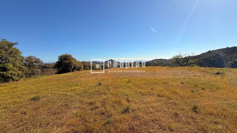 Foto 23fe9693-b9c7-4537-8dcb-ef42681d43ab. Casa amb calefacció a Guaro