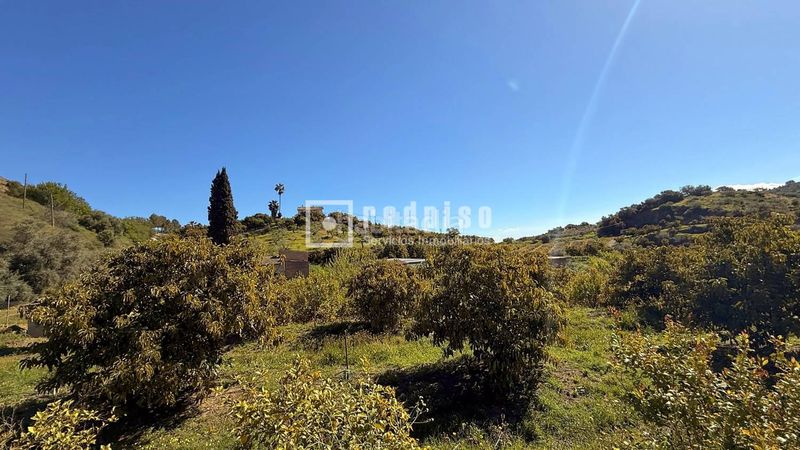 Foto 270f9655-a21c-43a7-b1de-cd5d8e253ad7. Casa amb calefacció a Guaro