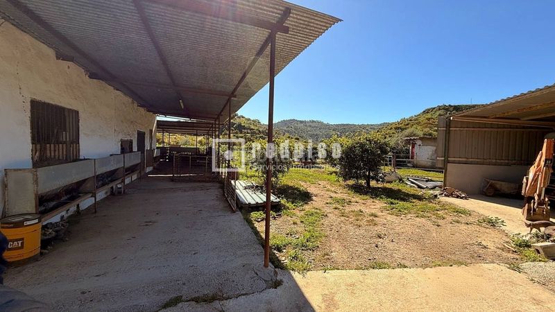 Foto 33fa9aed-9d00-4cc7-a9a5-2f06182a115b. Casa amb calefacció a Guaro