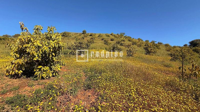 Foto 52f3ccba-3867-4142-a7c1-9e209832ad07. Casa amb calefacció a Guaro