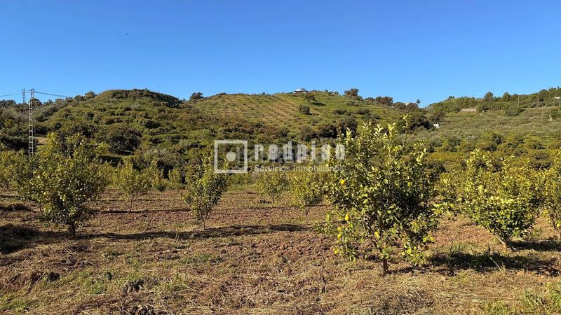 Foto 589775c8-dcc9-46d9-9996-b967a9b4f006. Casa amb calefacció a Guaro