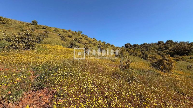 Foto 76e9c3e7-24e8-4479-8b7f-343cb24eb04a. Casa amb calefacció a Guaro