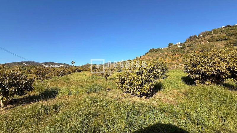 Foto 9adcbd9d-d68e-43c3-bd33-69689dc3f436. Casa amb calefacció a Guaro