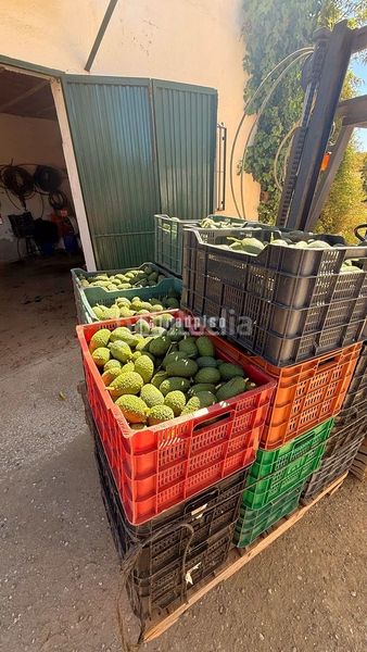 Foto b0e20083-e44a-4eac-8d26-8e5430d1eefc. Casa amb calefacció a Guaro