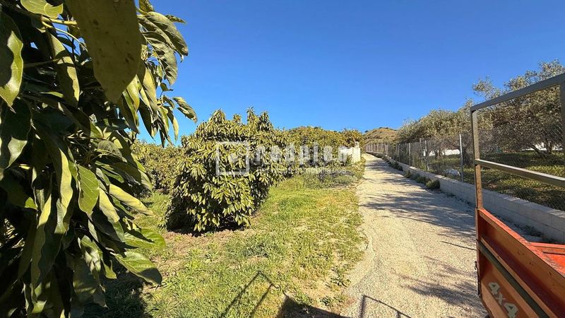 Foto b5e33504-9073-404e-be49-edaae8eb465f. Casa amb calefacció a Guaro