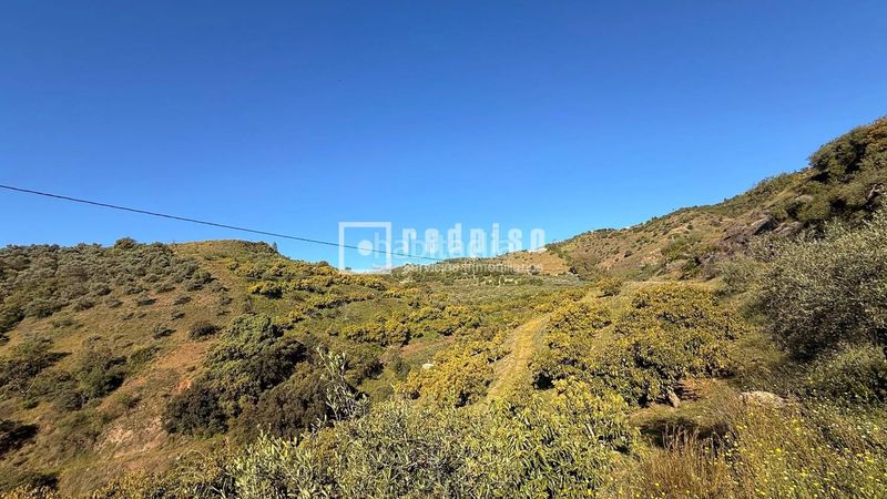 Foto cc8cae5b-7865-4927-aba0-fc42d3aadb8e. Casa amb calefacció a Guaro