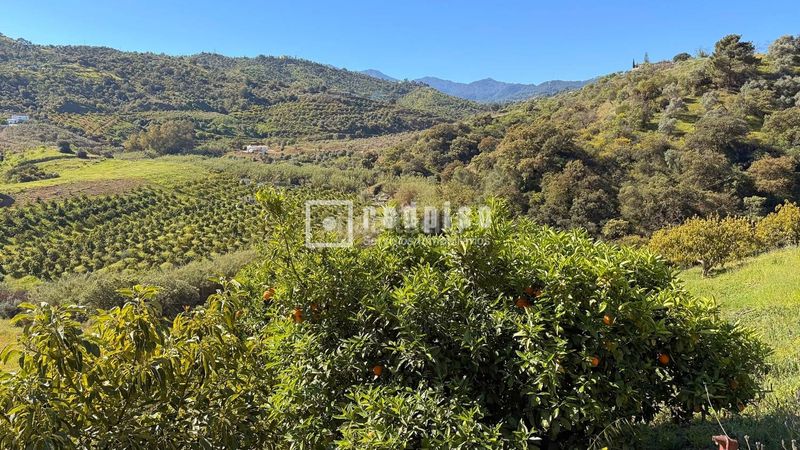 Foto fe915b10-7c27-4245-b3d9-c247a42f885a. Casa amb calefacció a Guaro