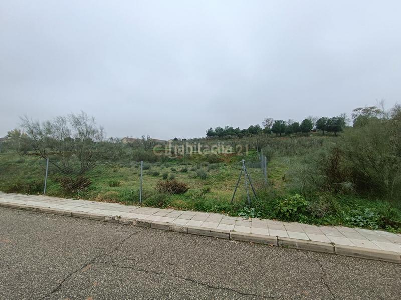 Foto e3c54c39-d47c-4911-9e8c-77fce94e1da1. Terreno residenziale in valdehondillo 61 1 in Cabanillas del Campo