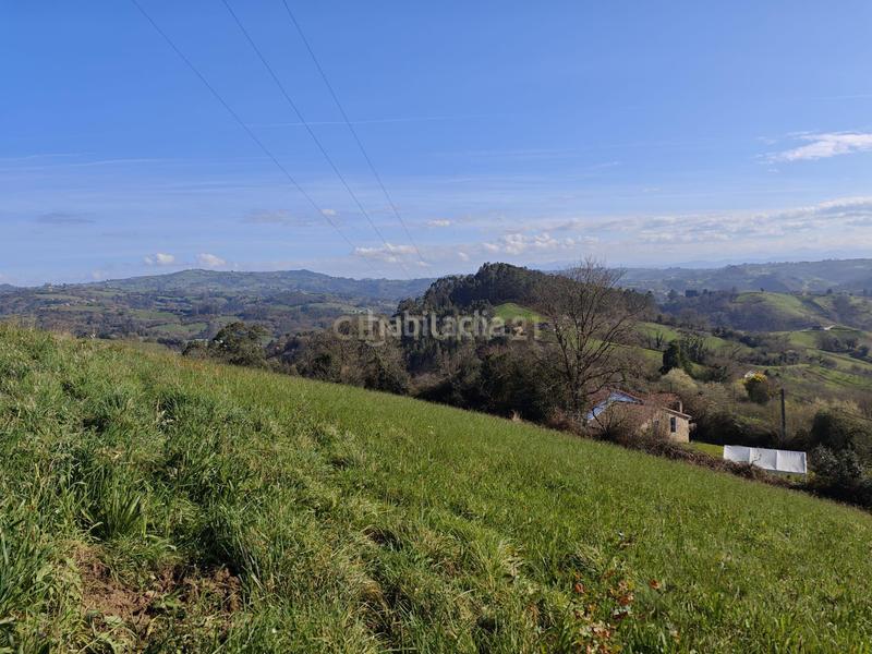 Foto 1426822e-95c8-46db-ae4d-aab95e3afc79. Terreny residencial a camin del rocinon 1965 a Cenero Gijón