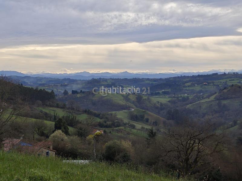 Foto 224b1e0f-a339-479c-a0f0-5bb7e138607b. Terreny residencial a camin del rocinon 1965 a Cenero Gijón