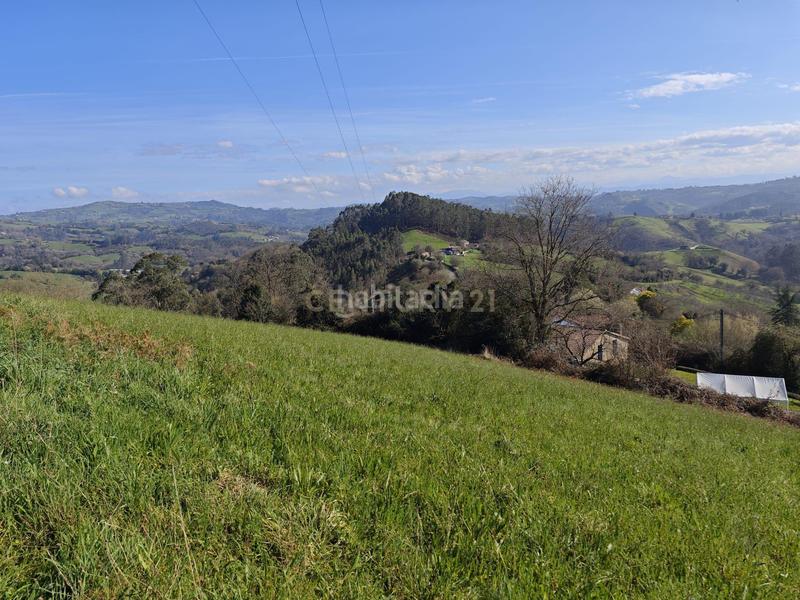 Foto 3f85a278-608b-4a8b-9a2d-b1c9f3cc5c9f. Terreny residencial a camin del rocinon 1965 a Cenero Gijón