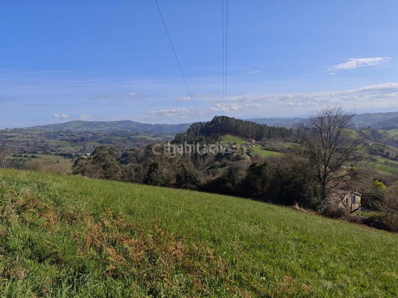 Foto 78089fe4-cede-4331-ba21-321686afbf06. Terreny residencial a camin del rocinon 1965 a Cenero Gijón