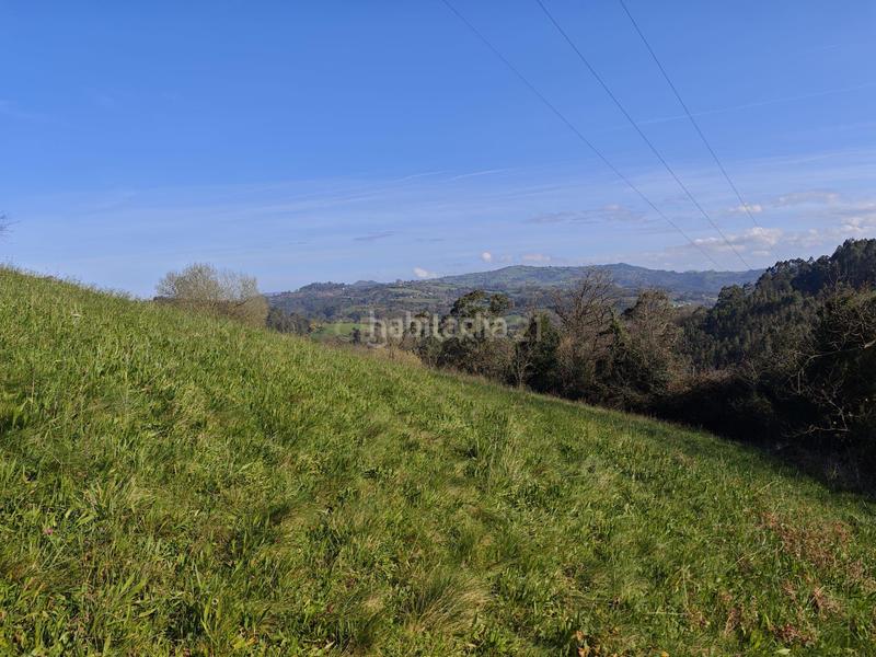 Foto cb7227f0-b06e-4dee-b913-5ad161624209. Terreny residencial a camin del rocinon 1965 a Cenero Gijón