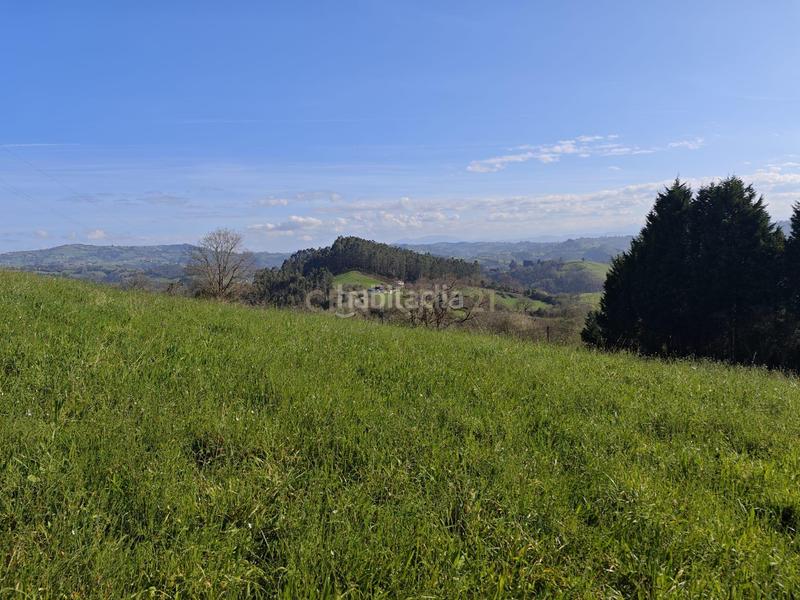 Foto f1c3b0c3-b786-43f2-8b6a-79db8951f373. Terreny residencial a camin del rocinon 1965 a Cenero Gijón