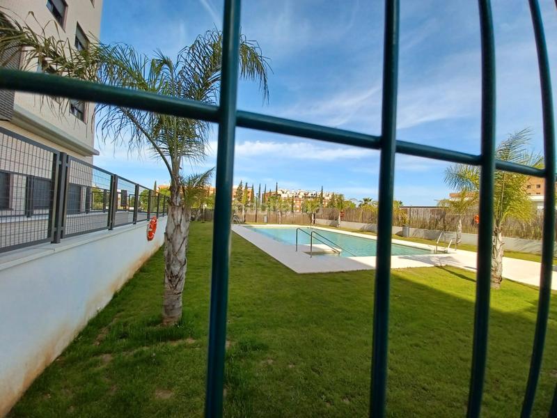 Foto 7ce3321e-3c79-4f7c-a0ad-8556409e3afb. Rent flat with parking pool in Zona Universitaria Bormujos