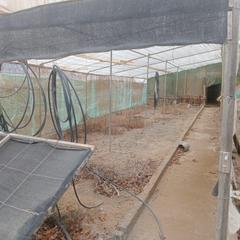 Masia a Pechina. Cortijo con amplio terreno y pequeño invernadero