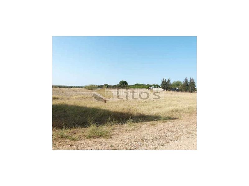 Foto 6f3135b8-5f6a-49b0-b54c-ad1b599a0a19. Terreno residencial terreno venta en La Motilla - Fuente del Rey Dos Hermanas