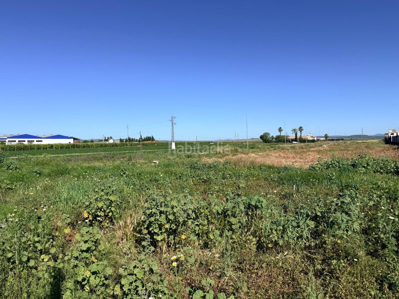 Foto ab8763b6-bef6-4067-a1ce-1b951ec584c2. Terreny residencial a Tocina