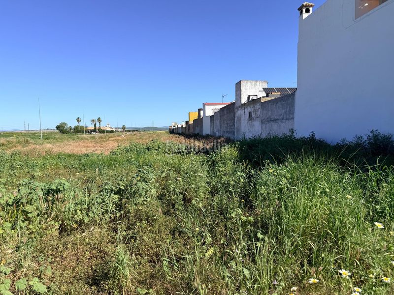 Foto bfea0b91-41f9-4f57-8ab2-44ab473eede0. Terreny residencial a Tocina