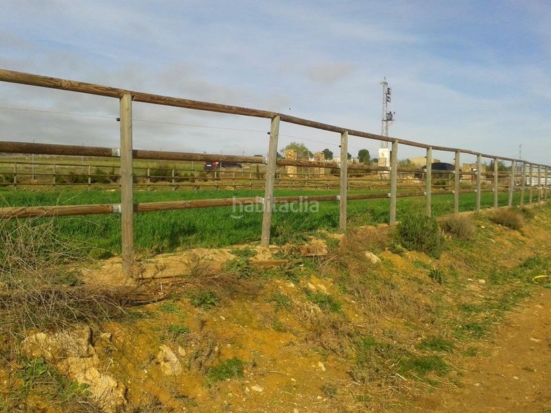 Foto 4ce6df82-1bbf-4495-8004-7f43d5e28a12. Finca rústica a Burguillos