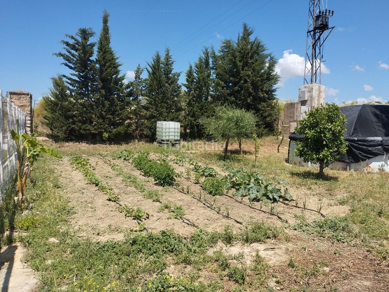 Foto aad67207-78f4-4487-b8af-706104bc248e. Finca rústica a Burguillos