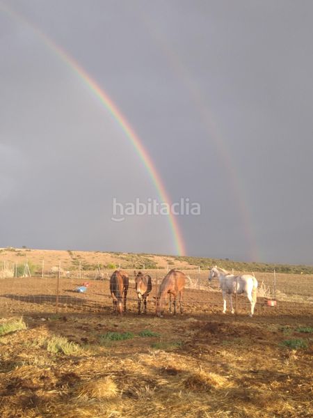 Foto cc88f27d-4429-4bd6-9bea-b3bc732e14ae. Finca rústica a Burguillos